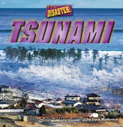 Cover of Tsunami (It's a Disaster, Little Bits! Readers)