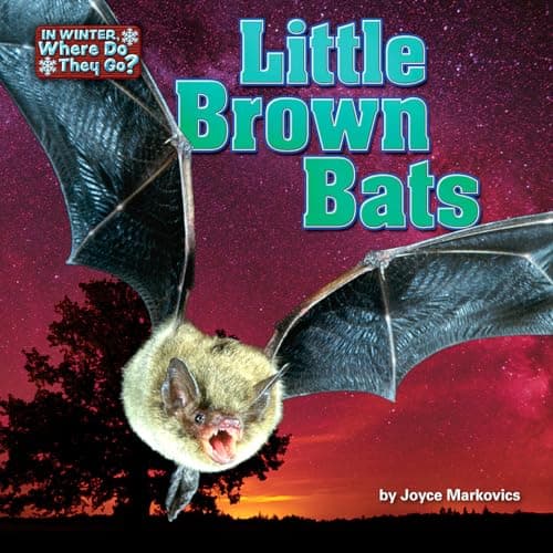 Cover of Little Brown Bats (In Winter, Where Do They Go? Little Bits! Readers)