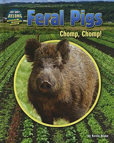 Cover of Feral Pigs: Chomp, Chomp! (They Don't Belong: Tracking Invasive Species)