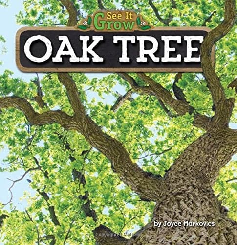 Cover of Oak Tree (See It Grow)