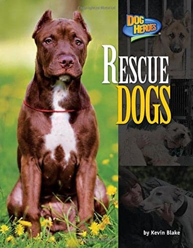 Cover of Rescue Dogs (Dog Heroes)