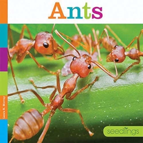 Cover of Ants (Seedlings)