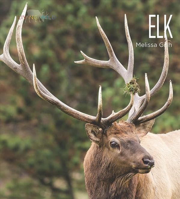 Cover of Elk (Living Wild)