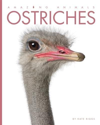 Cover of Ostriches (Amazing Animals)
