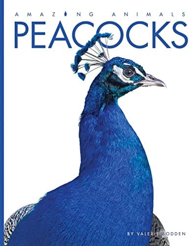 Cover of Peacocks (Amazing Animals)