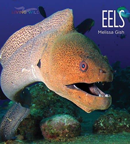 Cover of Eels (Living Wild)