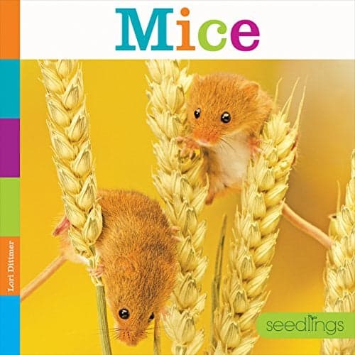 Cover of Mice (Seedlings)