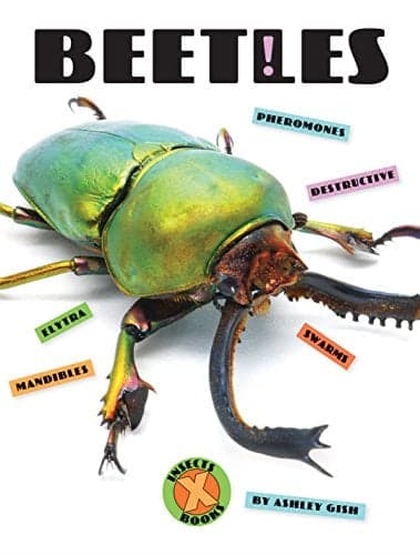 Cover of Beetles (X-Books: Insects)