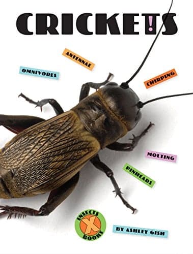Cover of Crickets (X-Books: Insects)
