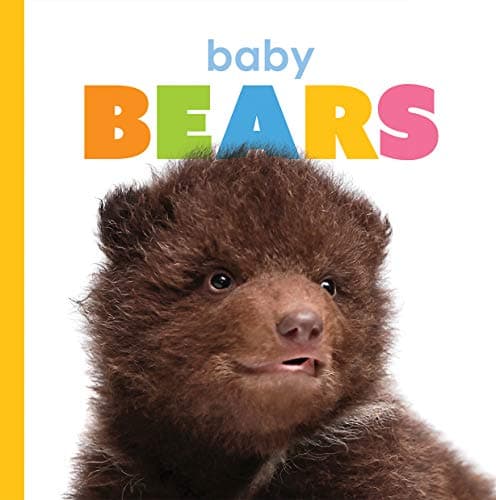 Cover of Baby Bears (Starting Out)