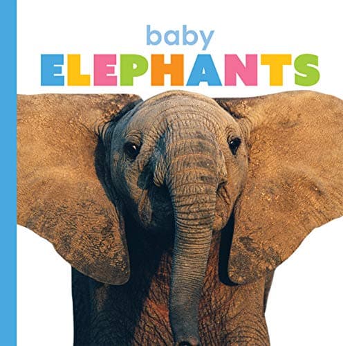 Cover of Baby Elephants (Starting Out)