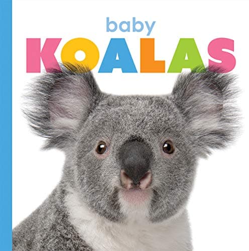 Cover of Baby Koalas (Starting Out)