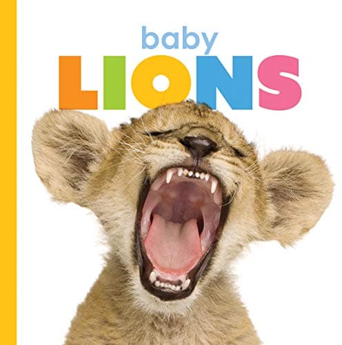 Cover of Baby Lions (Starting Out)