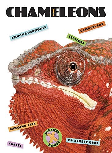 Cover of Chameleons (X-Books: Reptiles)