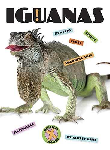 Cover of Iguanas (X-Books: Reptiles)