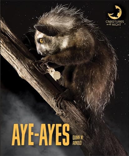 Cover of Aye-Ayes (Creatures of the Night)