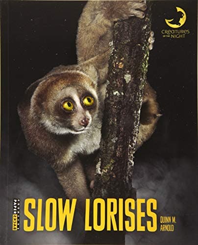 Cover of Slow Lorises (Creatures of the Night)