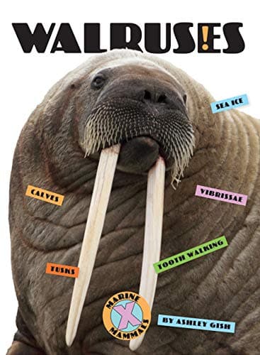 Cover of Walruses (Marine Mammals)