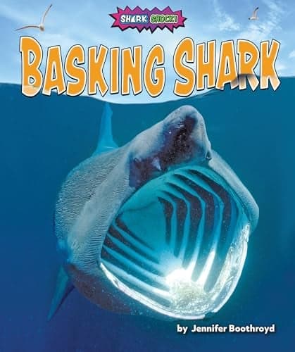 Cover of Basking Shark (Shark Shock!)