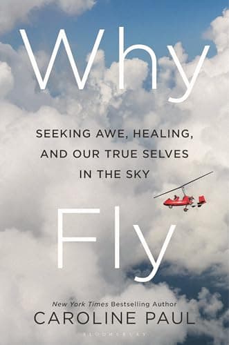 Cover of Why Fly: Seeking Awe, Healing, and Our True Selves in the Sky