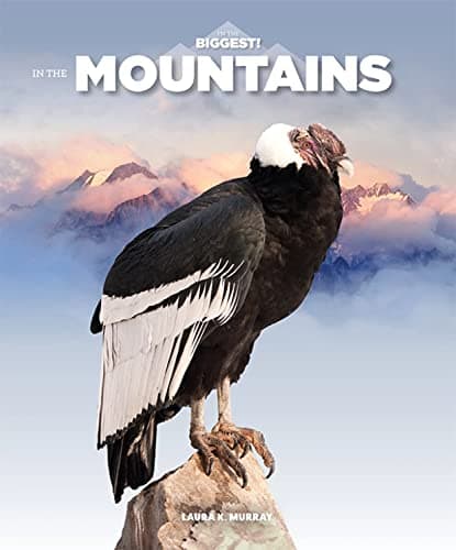 Cover of In the Mountains (I'm the Biggest!)