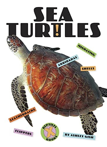 Cover of Sea Turtles (X-Books: Reptiles)