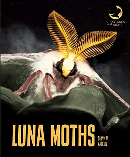 Cover of Luna Moths (Creatures of the Night)
