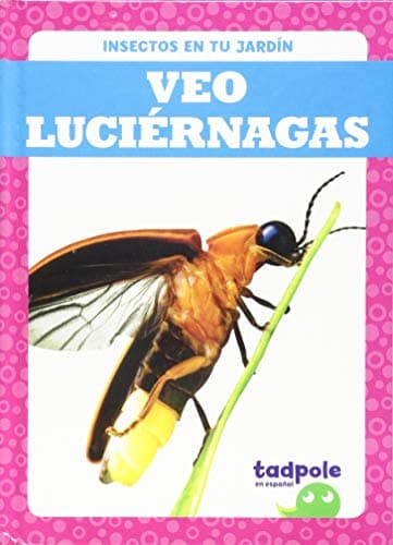 Cover of Veo Luciérnagas (Insectos en Tu Jardin)