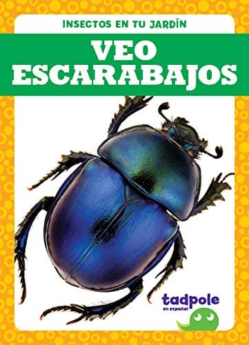 Cover of Veo escarabajos (Insectos en Tu Jardin)