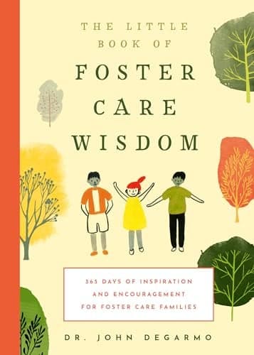 Cover of The Little Book of Foster Care Wisdom: 365 Days of Inspiration and Encouragement for Foster Care Families
