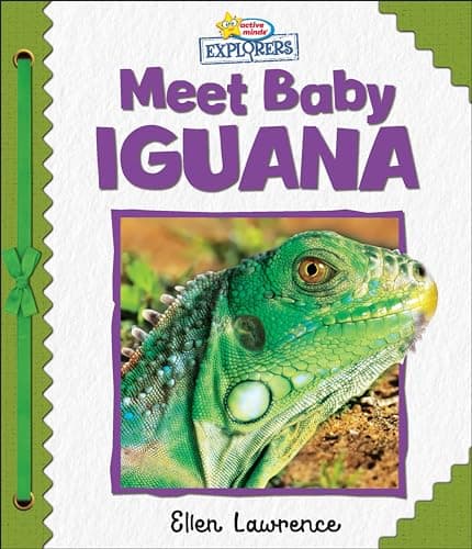 Cover of Meet Baby Iguana (Active Minds Explorers)