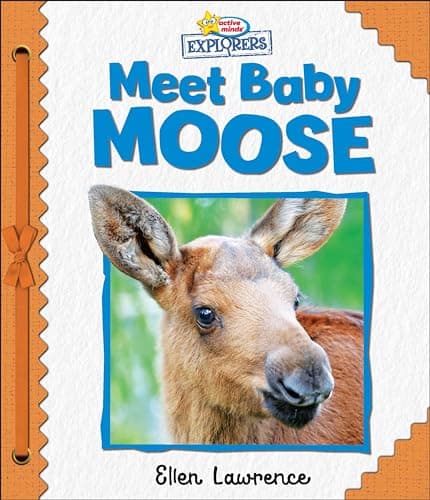 Cover of Meet Baby Moose (Active Minds Explorers)