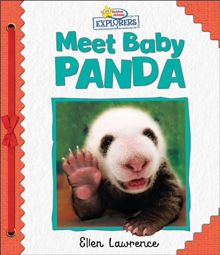 Cover of Meet Baby Panda (Active Minds Explorers)