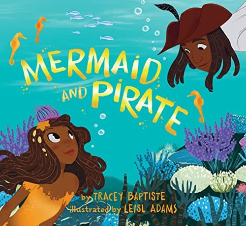 Cover of Mermaid and Pirate