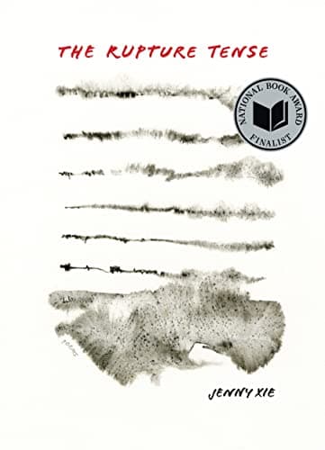 Cover of The Rupture Tense