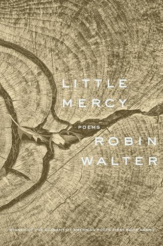 Cover of Little Mercy: Poems