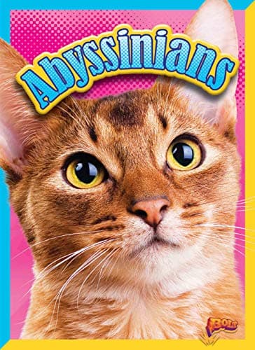 Cover of Abyssinians (Cat Stats)