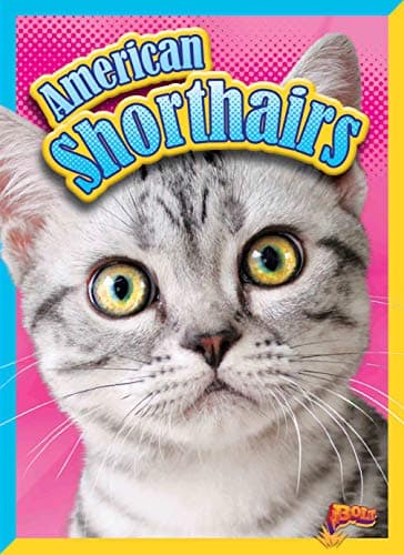 Cover of American Shorthairs (Cat Stats)