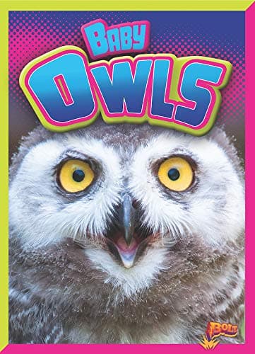 Cover of Baby Owls (Adorable Animals)