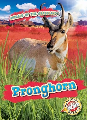 Cover of Pronghorn (Animals of the Grasslands, Blastoff! Readers, Level 2)