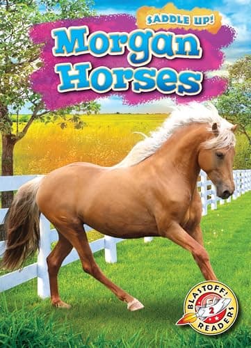 Cover of Morgan Horses (Saddle Up! Blastoff! Readers, Level 2)