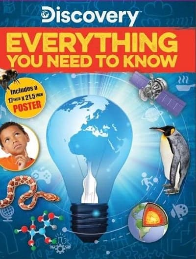 Cover of Everything You Need to Know (Discovery)