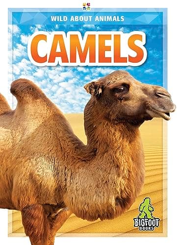 Cover of Camels (Wild About Animals)