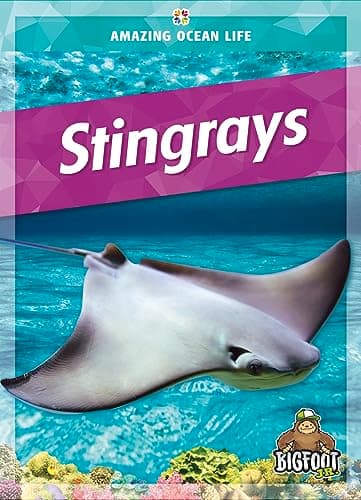 Cover of Stingrays (Amazing Ocean Life)