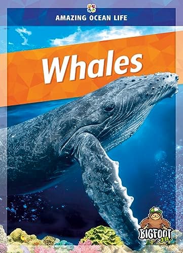 Cover of Whales (Amazing Ocean Life)