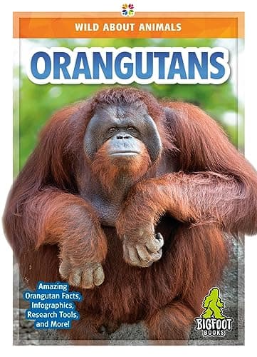 Cover of Orangutans (Wild About Animals)