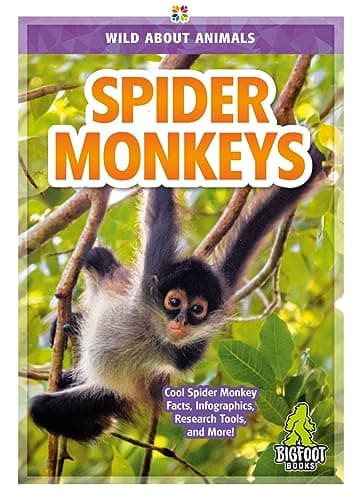 Cover of Spider Monkeys (Wild About Animals)