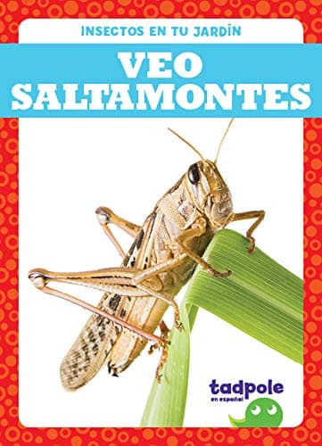 Cover of Veo Saltamontes (Insectos En Tu Jardin)