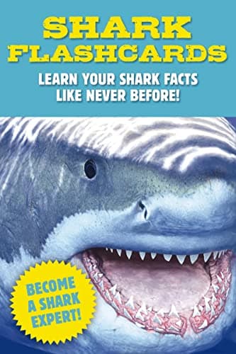 Cover of Shark Flashcards: Learn Your Shark Facts Like Never Before!