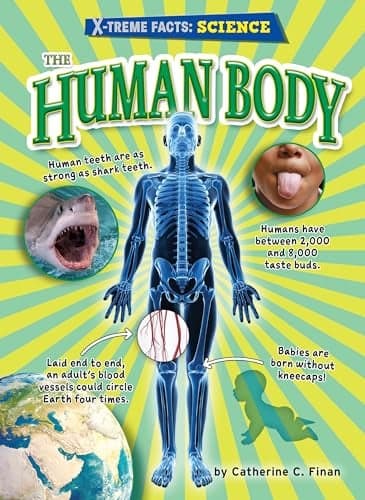 Cover of The Human Body (X-treme Facts: Science)